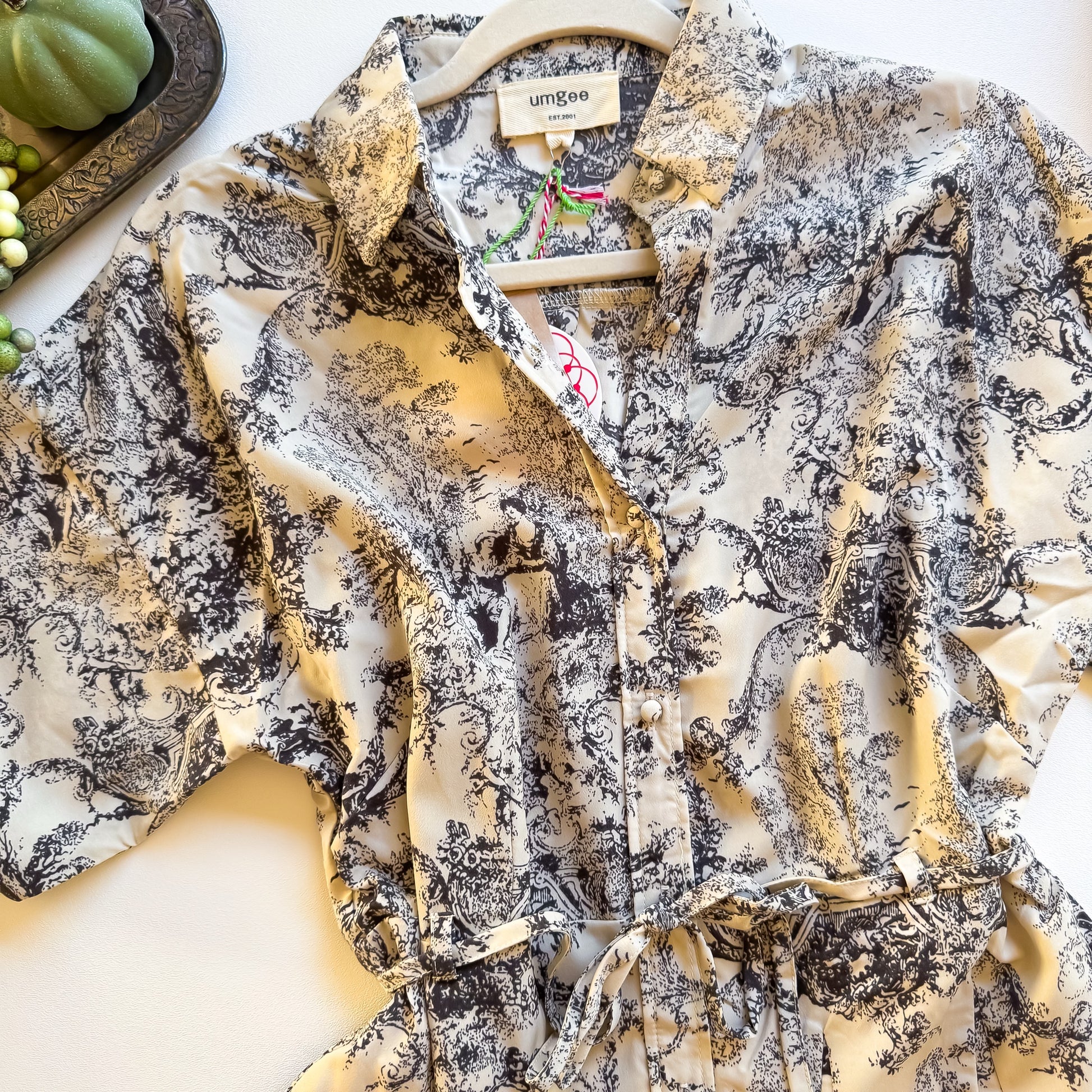 Toile Meadow Belted Shirt Dress collar and buttons