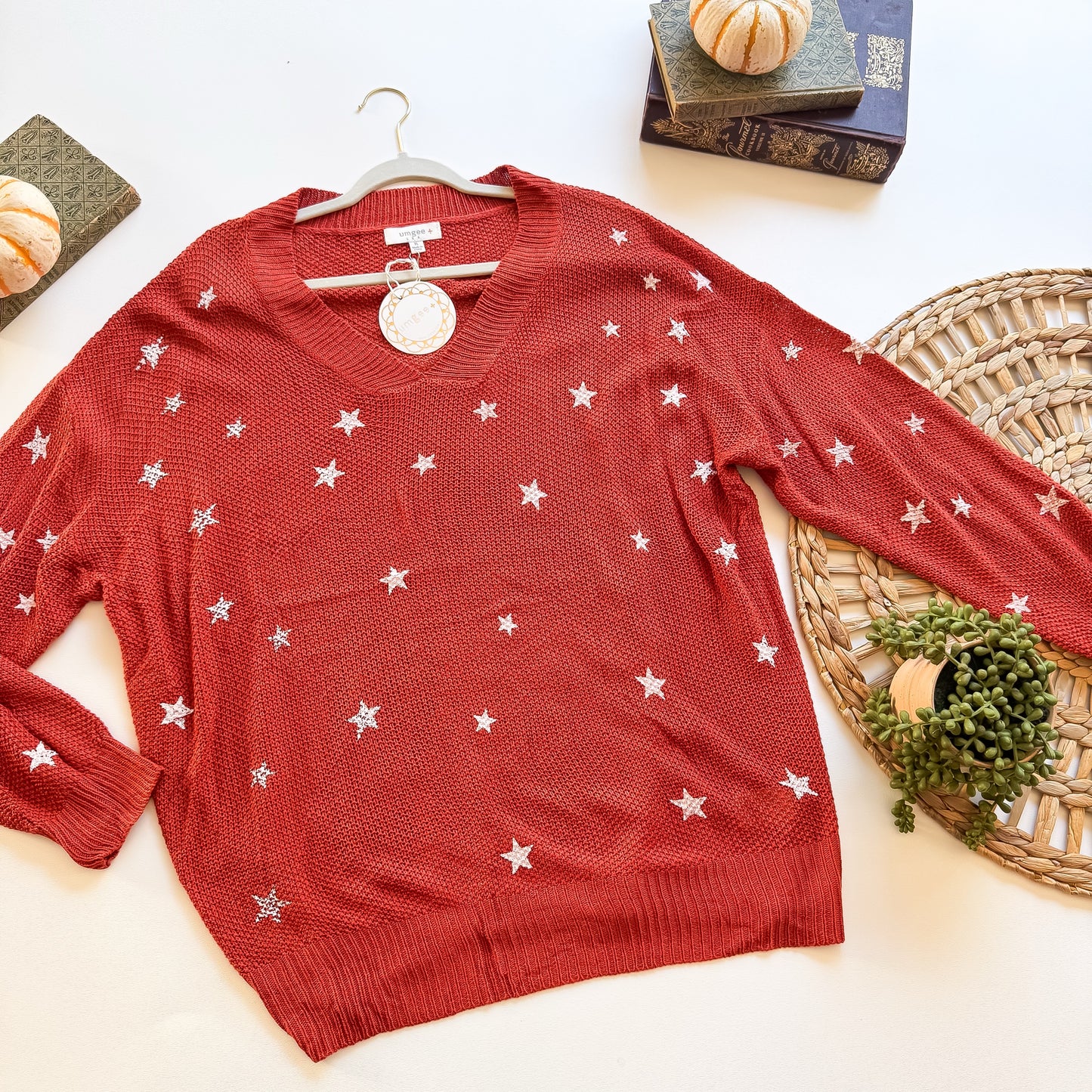 Rust star embroidered V-neck sweater