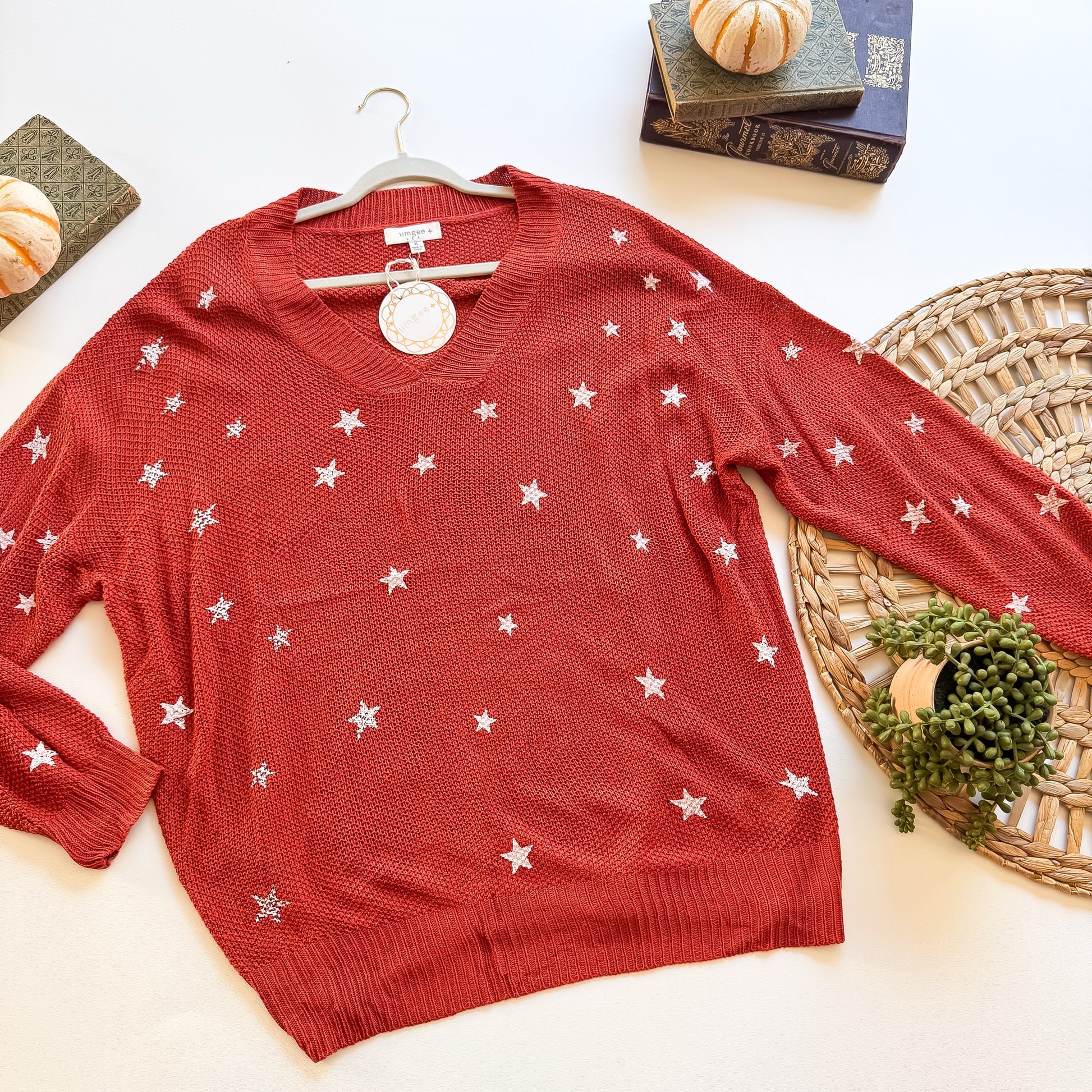 Rust star embroidered V-neck sweater